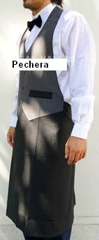 Pechera de Poplin Mozo